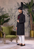 Bin Tayyab Sherwani (TD-1819)  GRAY