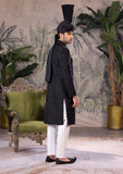 Bin Tayyab Sherwani (TD-1819)  GRAY