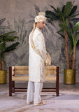 Bin Tayyab Sherwani (TD-1819)  OFF-WHITE