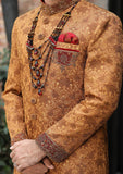 Bin Tayyab Sherwani (TD-1395-4) Rust