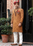 Bin Tayyab Sherwani (TD-1395-4) Rust