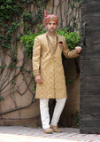 Bin Tayyab Sherwani (TD-1400) Almond Gold