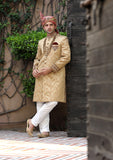 Bin Tayyab Sherwani (TD-1400) Almond Gold