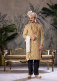 Bin Tayyab Sherwani (TD-1779) GOLDEN