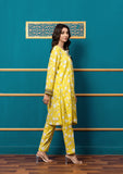 Bin Tayyab (PF-D-3097) Digital Lawn 2 PC's Unstitched & Pret