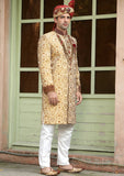 Bin Tayyab Sherwani (TD-1404-2) Maroon Golden