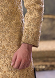 Bin Tayyab Sherwani (TD-1779) GOLDEN