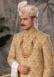 Bin Tayyab Sherwani (TD-1779) GOLDEN