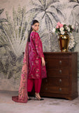 BIN TAYYAB (BT-6613) KHADDAR 3 PCS STITCH SUIT