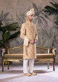 Bin Tayyab Sherwani (TD-1681)  GRAY