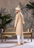 Bin Tayyab Sherwani (TD-1681)  GRAY