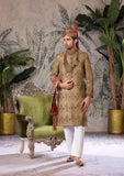 Bin Tayyab Sherwani (TD-1690)  BRWON