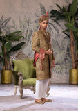 Bin Tayyab Sherwani (TD-1690)  BRWON