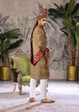 Bin Tayyab Sherwani (TD-1690)  BRWON