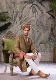 Bin Tayyab Sherwani (TD-1690)  BRWON