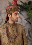 Bin Tayyab Sherwani (TD-1690)  BRWON